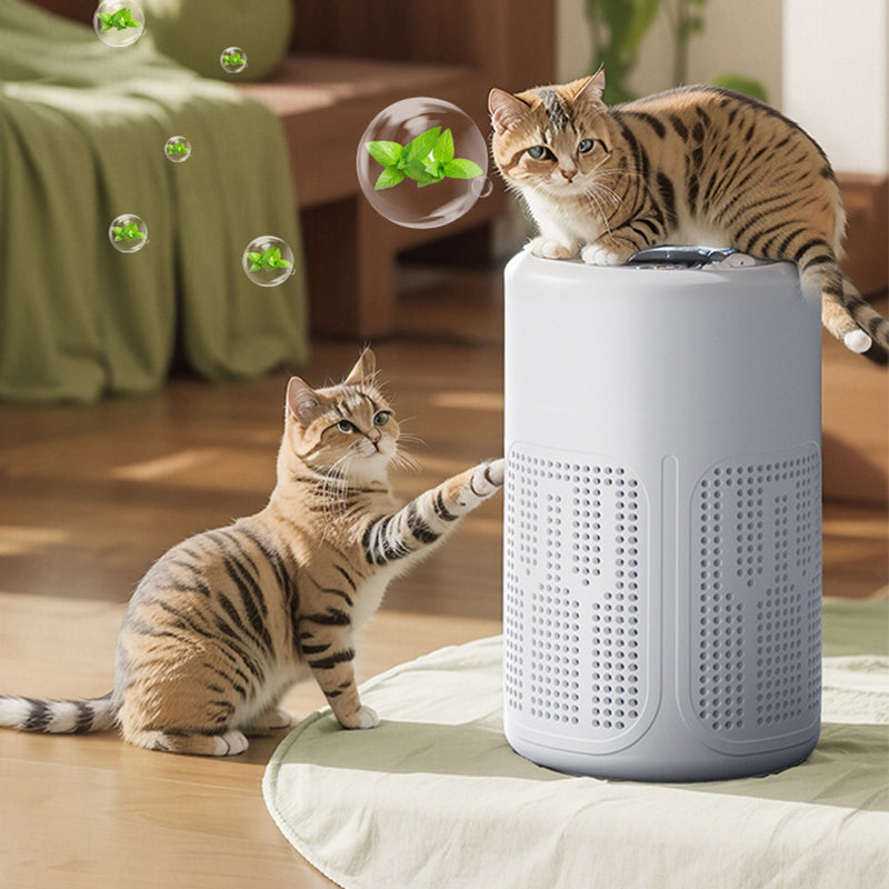 BVJ® 🔇Limited Offer 💐Silent Air Purifier – Peaceful sleep, no noise😴
